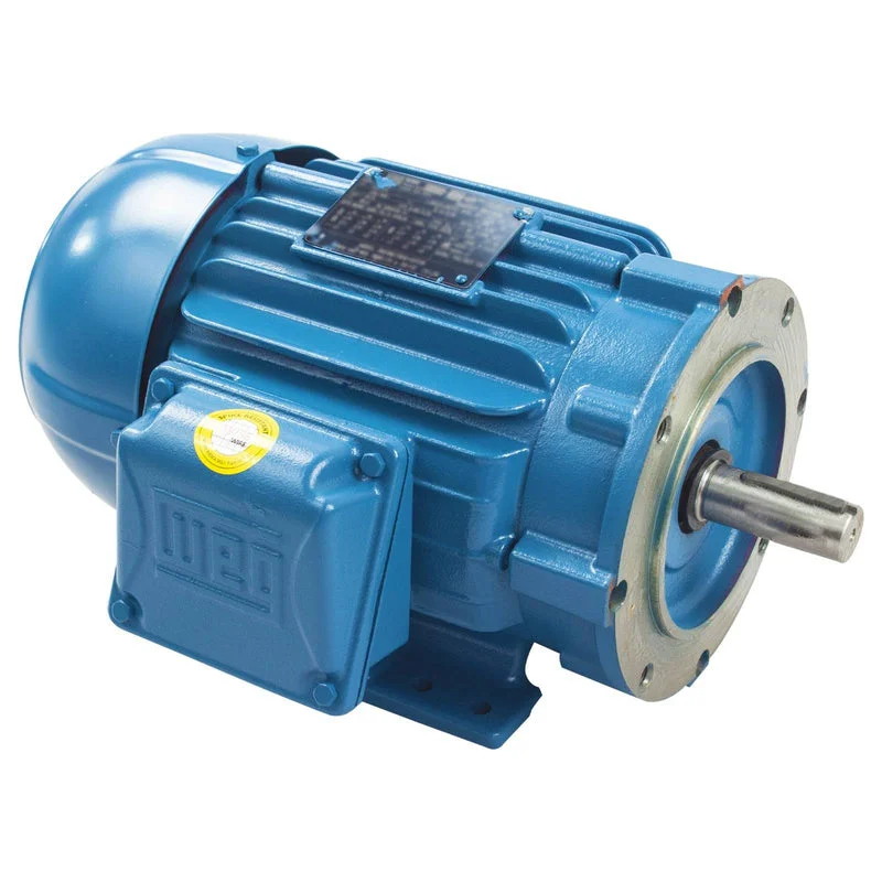 WEG electric motor