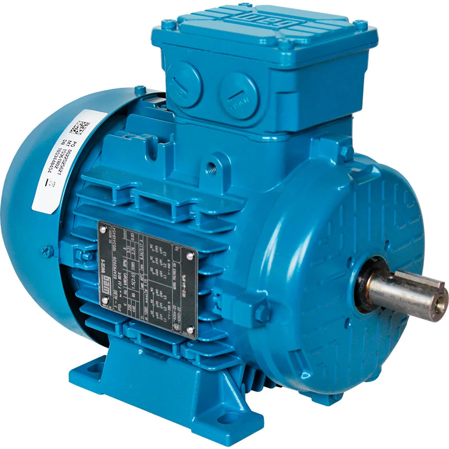 WEG electric motor