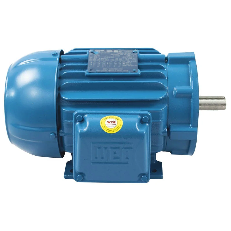 WEG electric motor