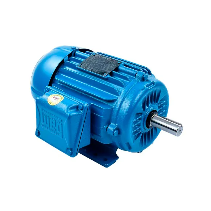 WEG electric motor